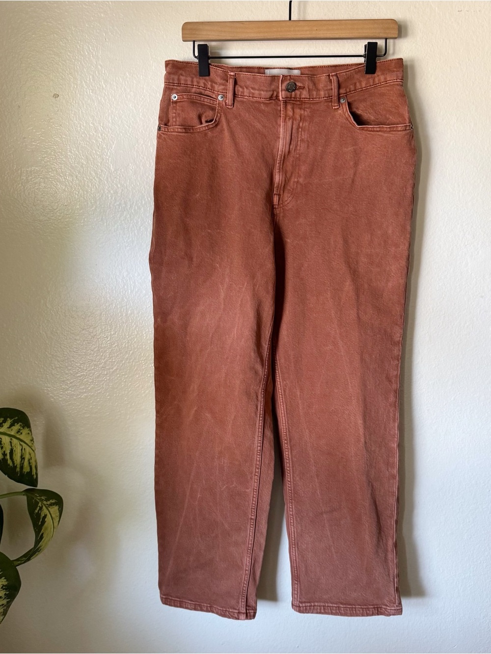 Everlane | Tall Way High Straight Jeans